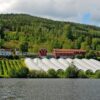 Idylliske Søndre Bjerkerud gård ligger ved foten av Norefjell og ved Krøderfjorden.