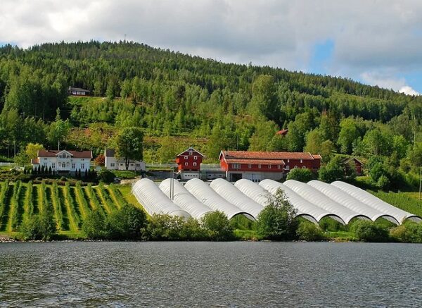 Idylliske Søndre Bjerkerud gård ligger ved foten av Norefjell og ved Krøderfjorden.